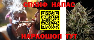 дживик Будённовск