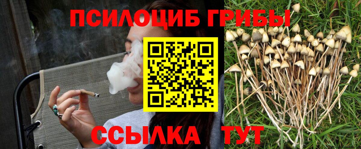 Приморско-Ахтарск  как найти закладки  Вход с VPN  Псилоцибиновые грибы Psilocybe 